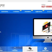 湖北楚泰軟件信息公司 專業軟件開發解決方案，助力企業數字化轉型